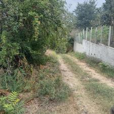 فروش زمین کشاورزی 1800 متر در وارد محله