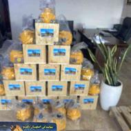 قطعات یدکی بیل بکهو