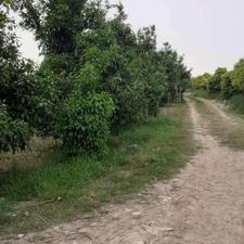 فروش زمین 700 متری