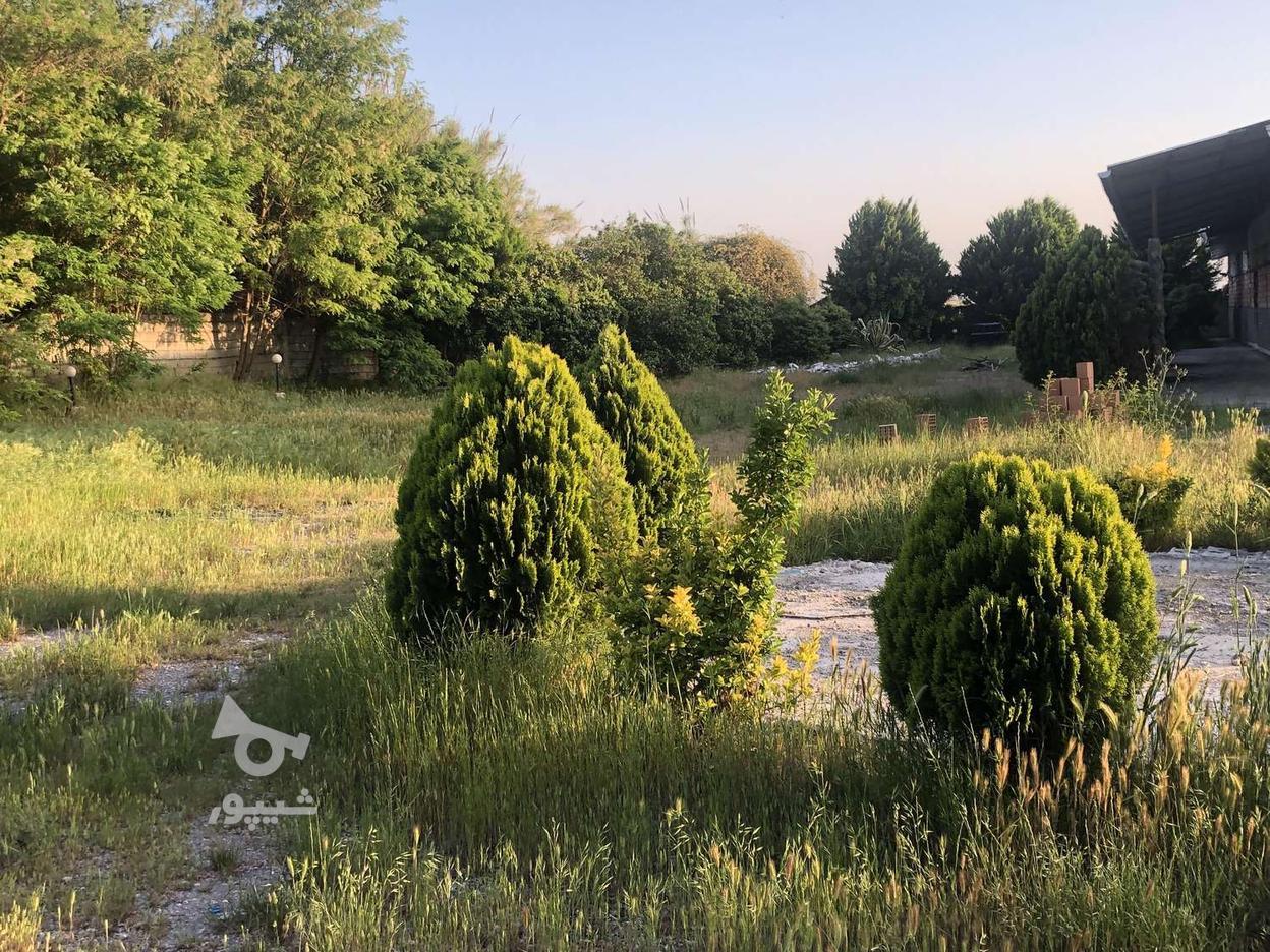 فروش تالار پذیرایی در گروه خرید و فروش املاک در مازندران در شیپور-عکس1