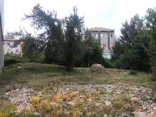 فروش زمین مسکونی 245 متری در شقایق در شیپور