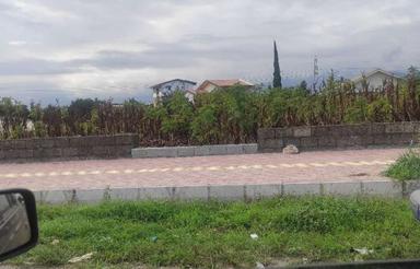 فروش تجاری بر اصلی شیرود381متر