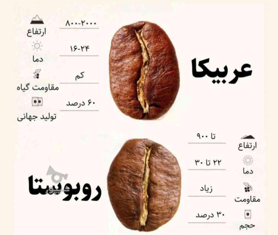 قهوه تازه رست در گروه خرید و فروش خدمات و کسب و کار در گلستان در شیپور-عکس1