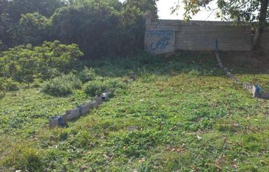 فروش زمین مسکونی 85 متر در پل گردن