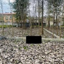 فروش زمین مسکونی 240 متر با مالکیت اهل بیت استانه