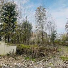 فروش زمین 258 متر دو بر مدارک کامل استانه اهل بیت