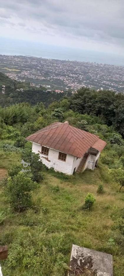 700 زمین در روستای پتک ویو ابدی در گروه خرید و فروش املاک در مازندران در شیپور-عکس1