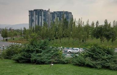 زمین موسی آباد رابر