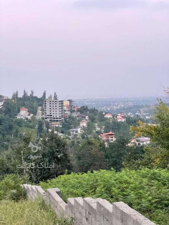 فروش زمین با چشم انداز بی نظیر در اربکله در گروه خرید و فروش املاک در مازندران در شیپور-عکس1