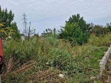 فروش زمین تجاری 480 متر در کمربندی بزرگ تنکابن در شیپور