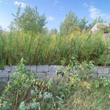 204متر زمین مسکونی با سند تک برگ