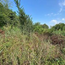 فروش زمین مسکونی 230 متر در خیابان 72تن