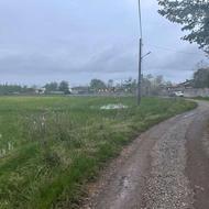 زمین زراعی 5000 متری بر جاده در زیباکنار