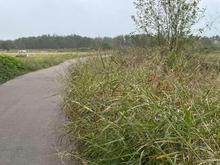 زمین کشاورزی 7500 متر در منطقه آزاد در شیپور