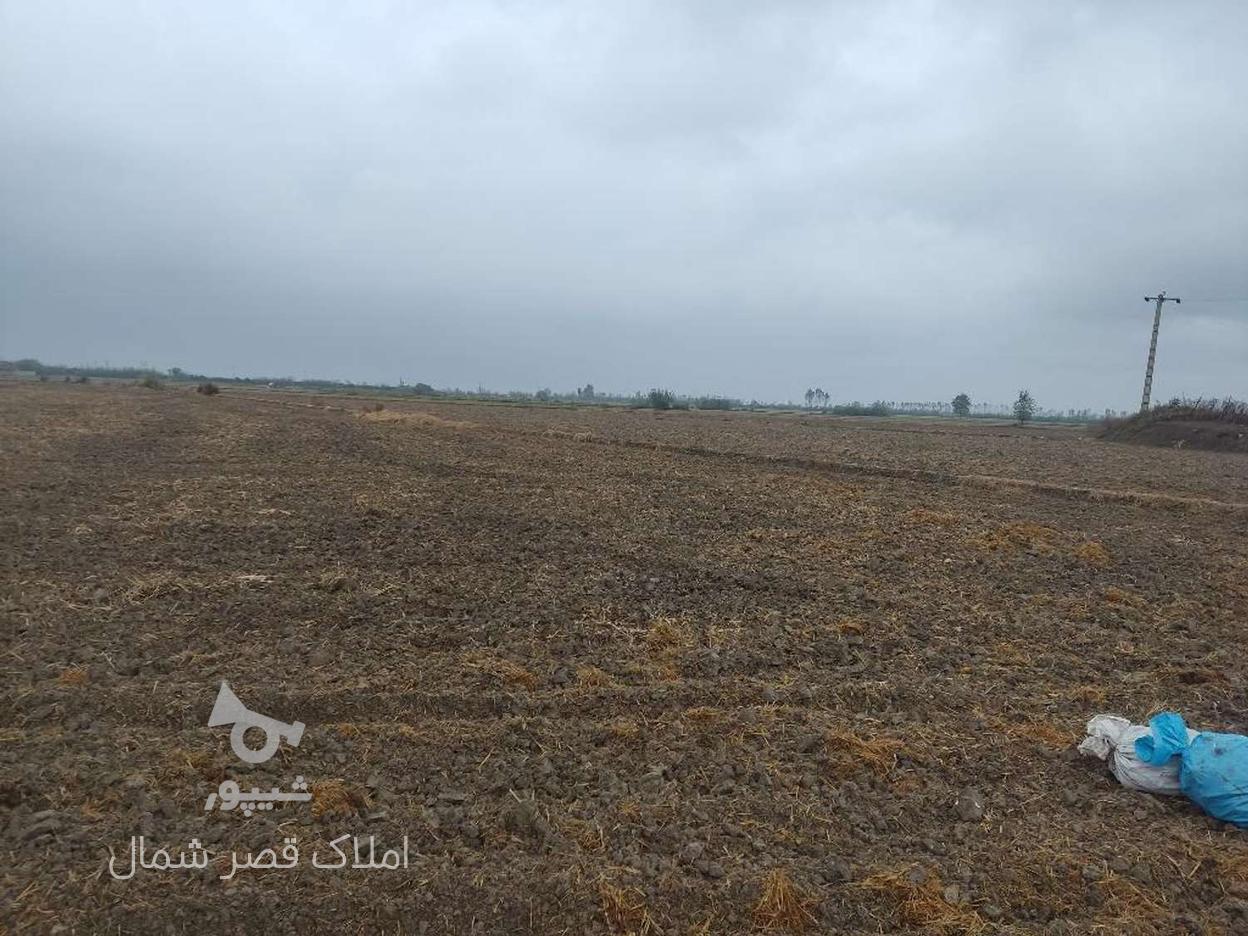 فروش زمین کشاورزی 30000 متر در سید محله در گروه خرید و فروش املاک در مازندران در شیپور-عکس1