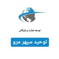 خانم آشنا به کامپیوتر با امکان دورکاری