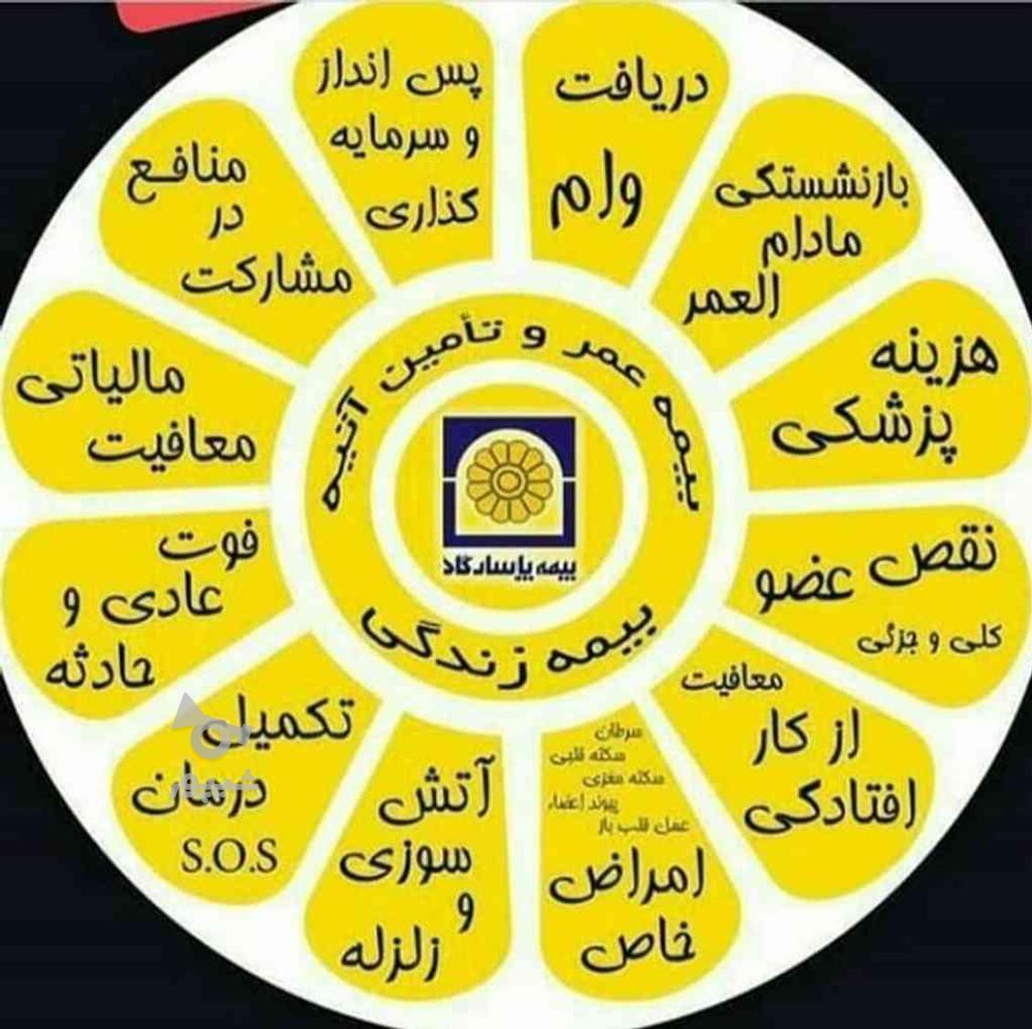 بیمه عمر وآتیه پاسارگاد