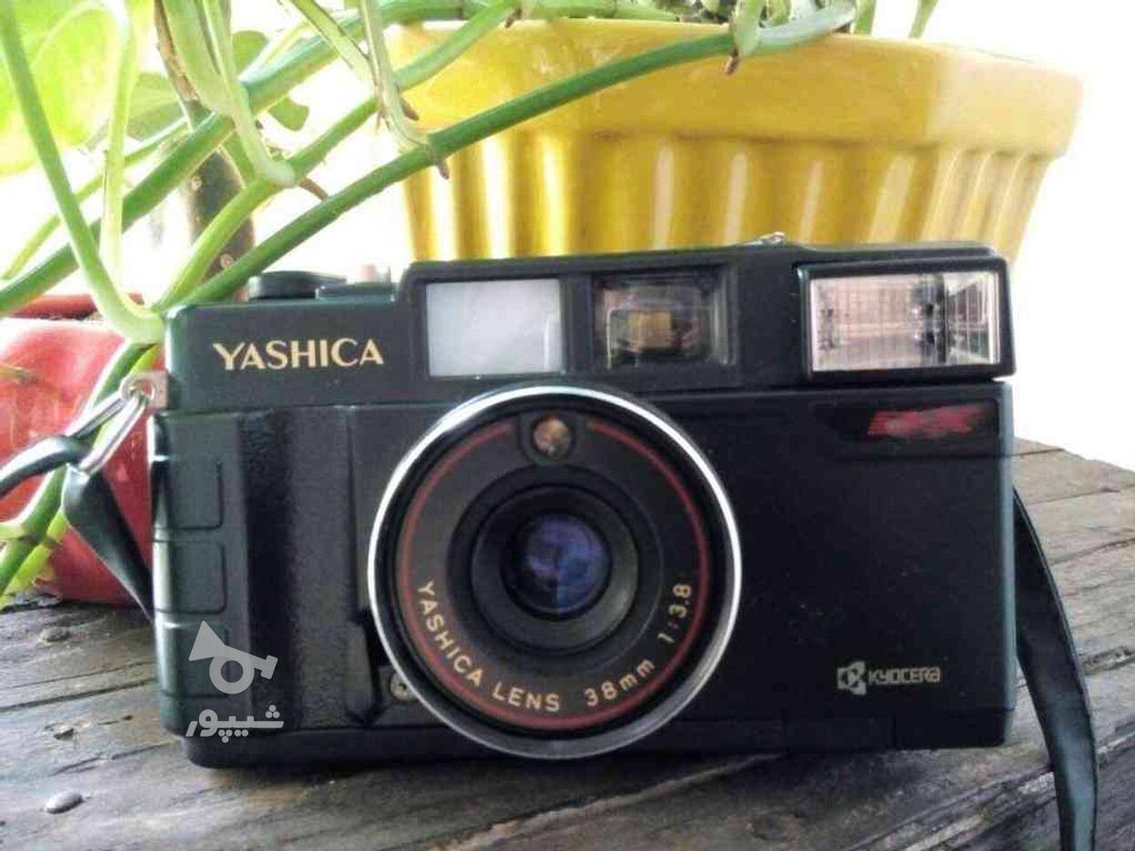 دوربین عکاسی مارک yashica اصل ژاپن در گروه خرید و فروش لوازم الکترونیکی در مازندران در شیپور-عکس1