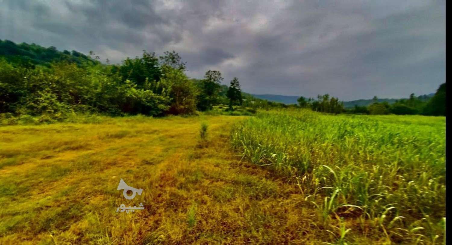 زمین باغی گردشگری مازندران بابل لدار در گروه خرید و فروش املاک در مازندران در شیپور-عکس1