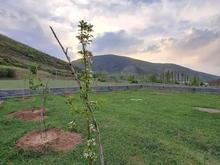 زمین 250 متری کندلوس جاده موزه در شیپور