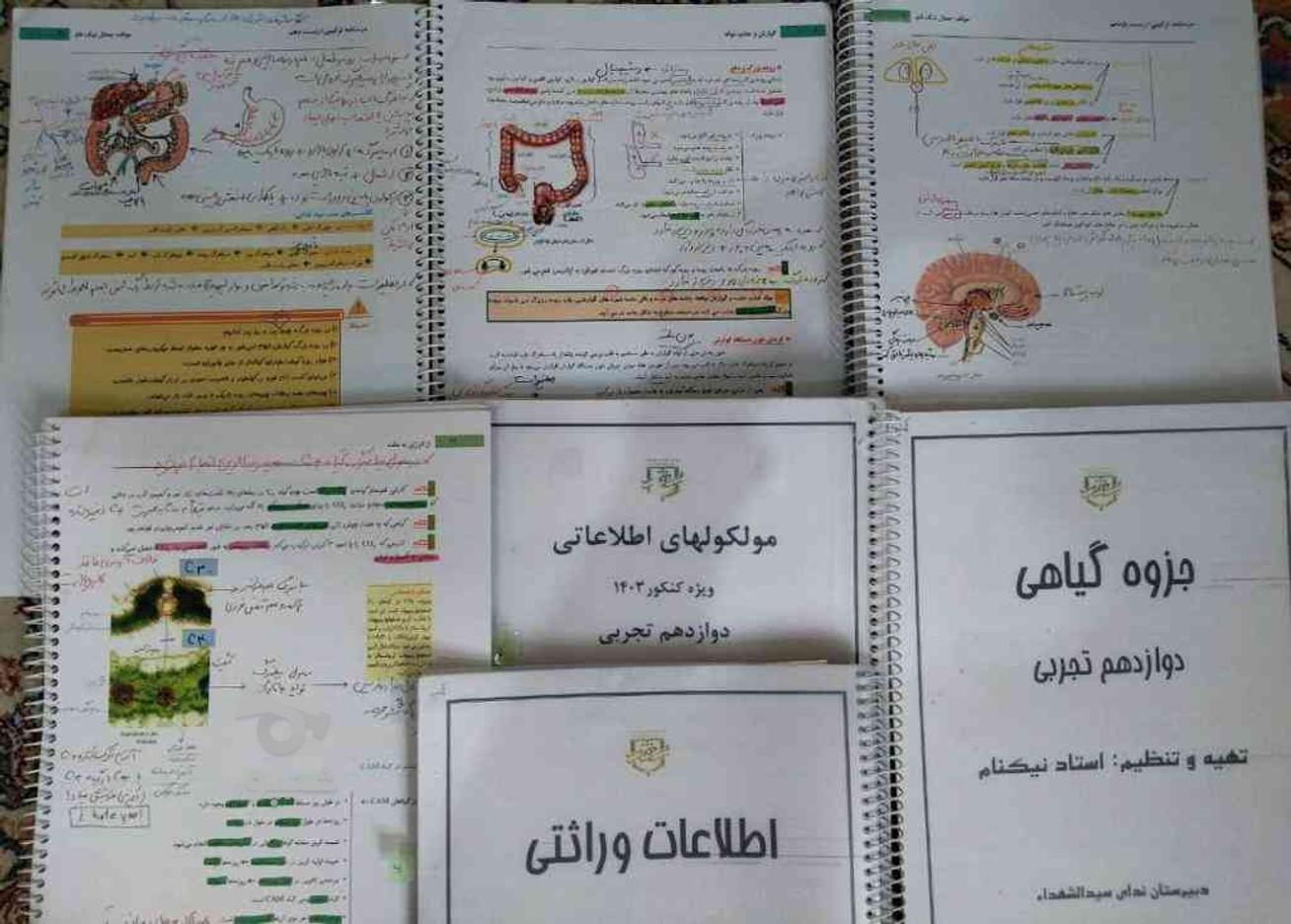 پک جزوه رنگی تصوری زیست دهم یازدهم دوازدهم در گروه خرید و فروش ورزش فرهنگ فراغت در تهران در شیپور-عکس1