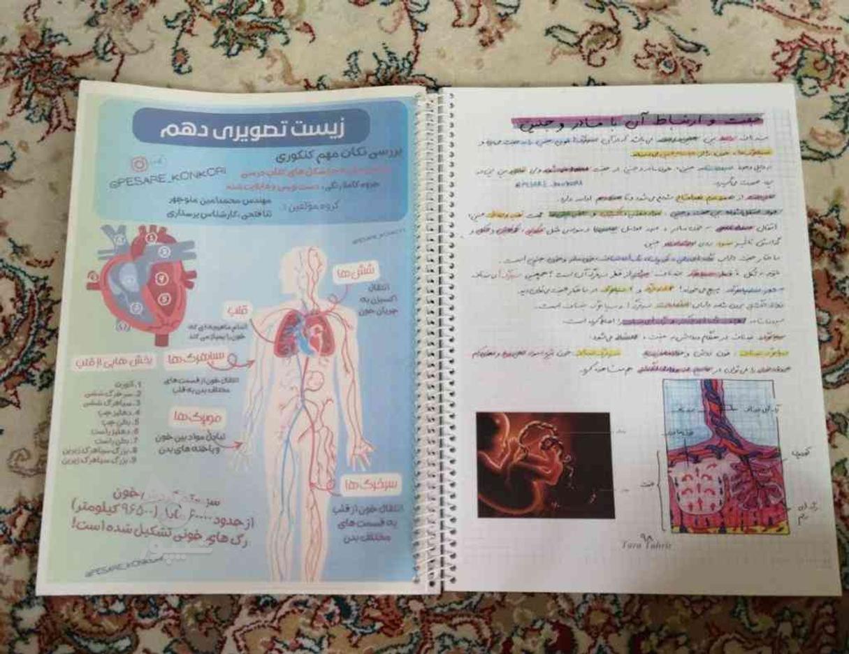 جزوه رنگی تمام نکات شکل های زیست دهم و یازدهم در گروه خرید و فروش ورزش فرهنگ فراغت در تهران در شیپور-عکس1