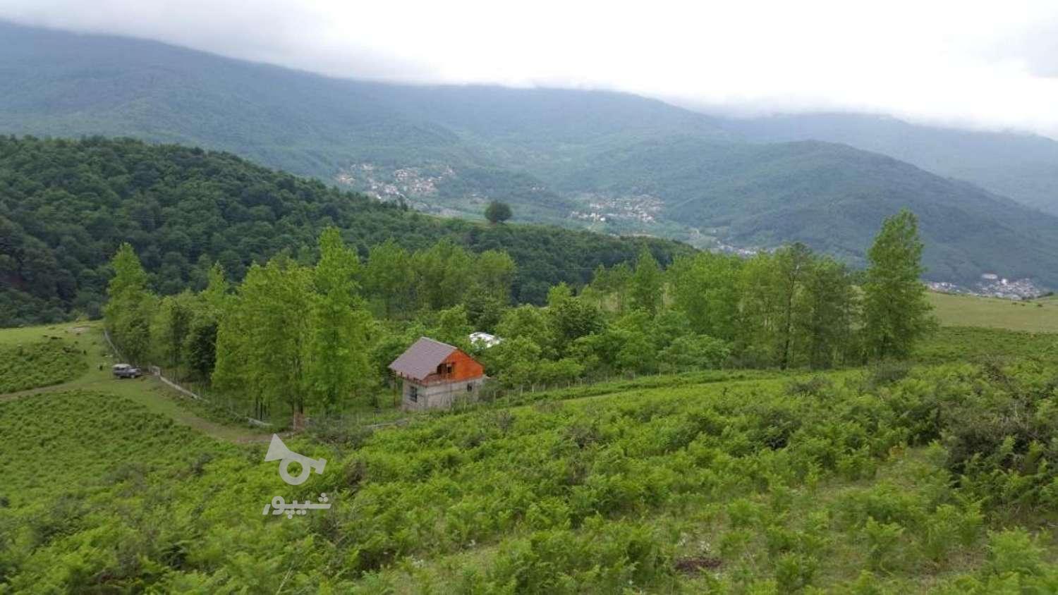 کلبه جنگلی واقعی در گروه خرید و فروش املاک در مازندران در شیپور-عکس1