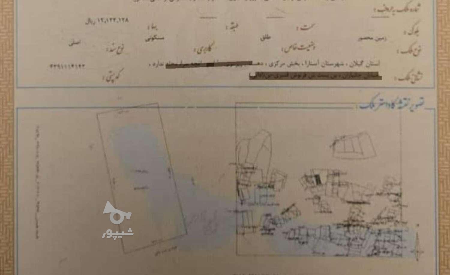 فروش 580 متر زمین محصور شده سند تکبرگ مسکونی در گروه خرید و فروش املاک در گیلان در شیپور-عکس1