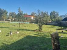 فروش زمین مسکونی 1200 متر در خوشابر در شیپور