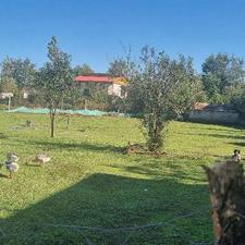 فروش زمین مسکونی 1200 متر در خوشابر