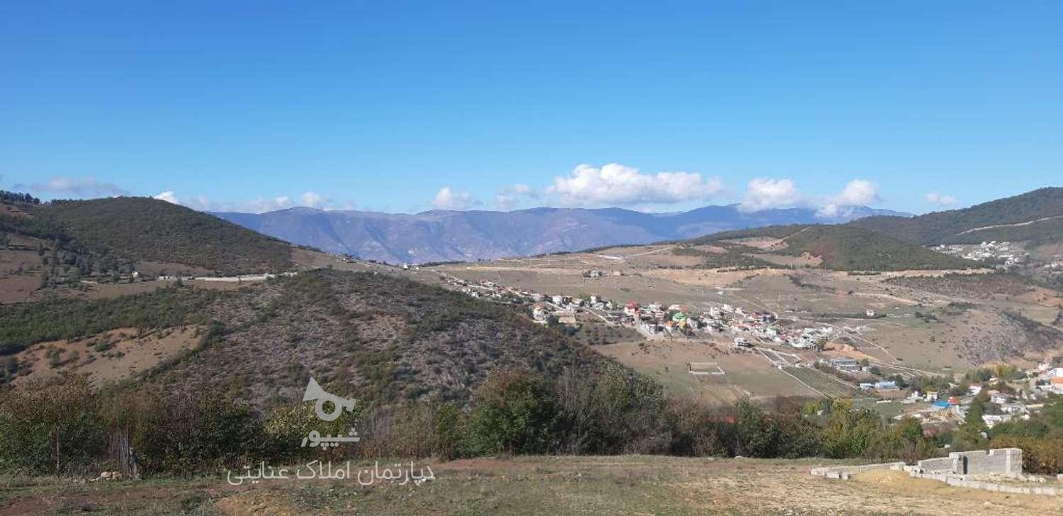 فروش زمین کشاورزی 2500 متر در لنگر در گروه خرید و فروش املاک در مازندران در شیپور-عکس1