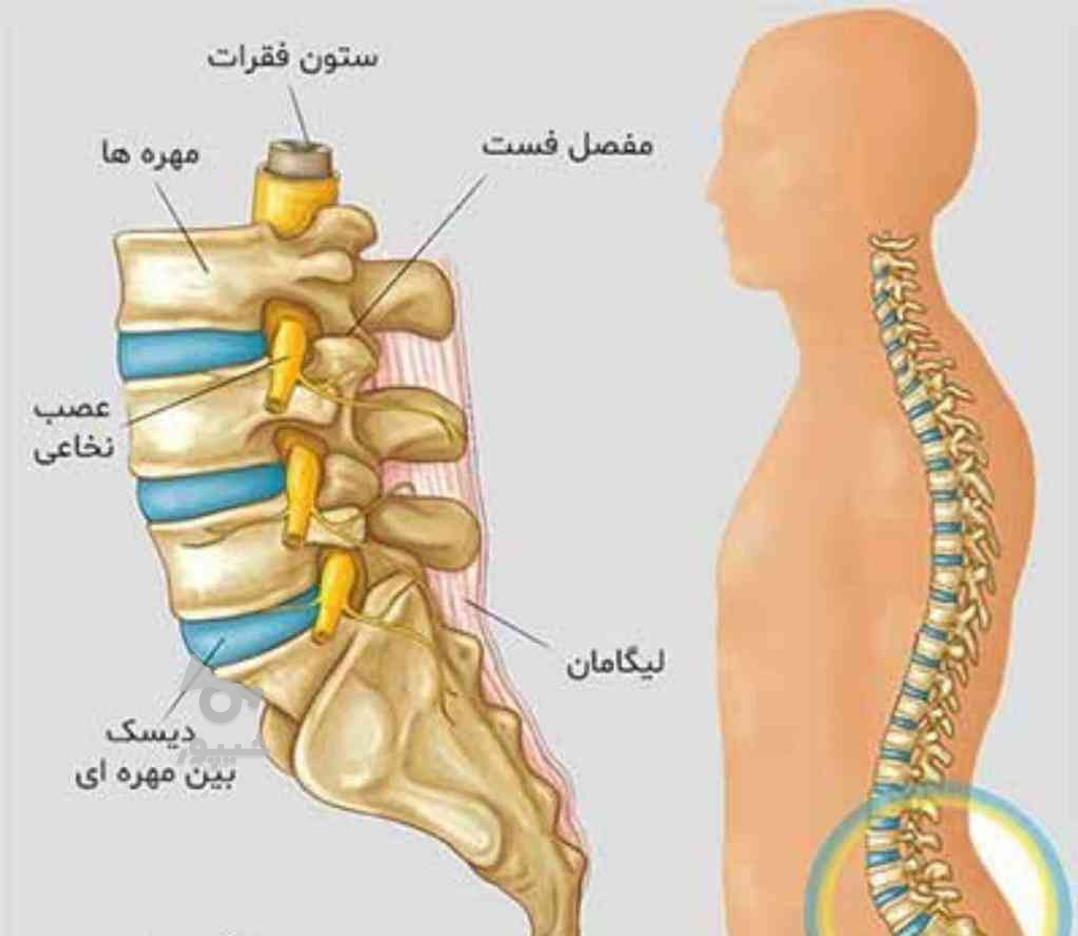 فیزیوتراپی درمنزل بامدرک کشوری در گروه خرید و فروش خدمات و کسب و کار در مازندران در شیپور-عکس1