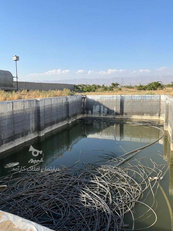 فروش یک هکتار زمین کشاورزی یک هکتاری در قنبر آباد در گروه خرید و فروش املاک در البرز در شیپور-عکس1