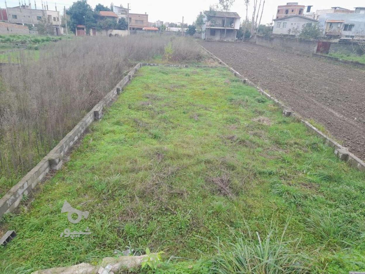 فروش زمین واقع در انتهای کوچه سازمانی روستای درمه کلا در گروه خرید و فروش املاک در مازندران در شیپور-عکس1