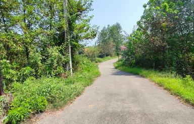 فروش زمین 700 مترباغی چسبیده به طرح درروستا صحنه سرا رودسر