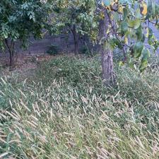 فروش بافته 400 متر در شهریار بکه سند تک برگ