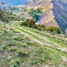 فروش 1500متر زمین باغی با درخت ییلاق نمارستاق