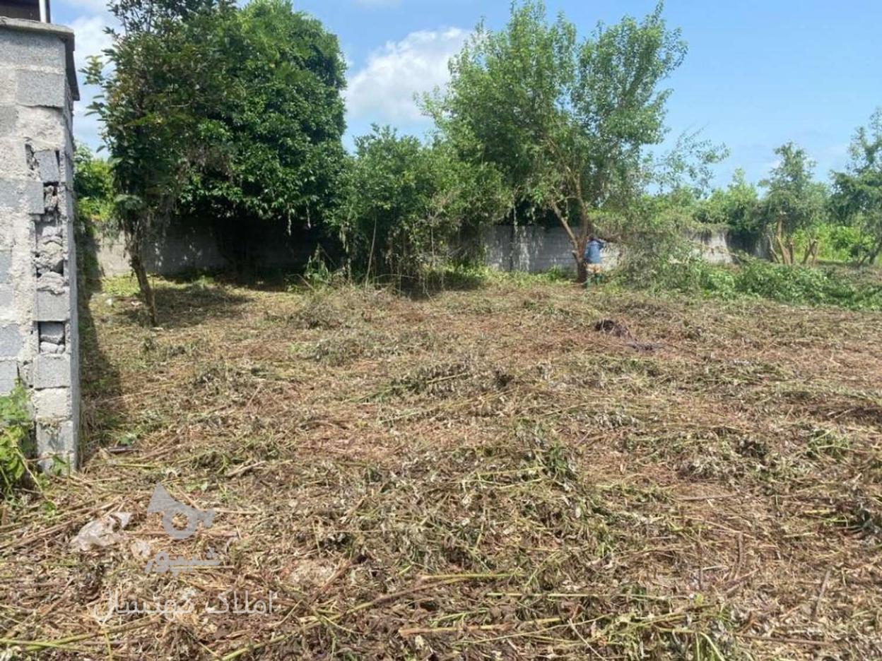 300مترزمین مسکونی بر دوم جاده آسفالت روستای شهمیرسرا در گروه خرید و فروش املاک در گیلان در شیپور-عکس1