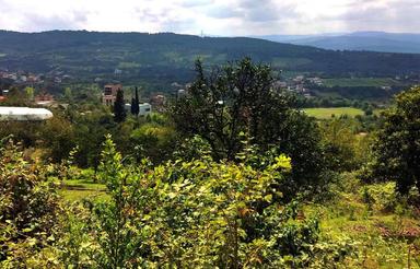 فروش زمین مسکونی 350 متر در سانخیل