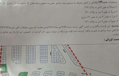 زمین فناوران 81 متر 