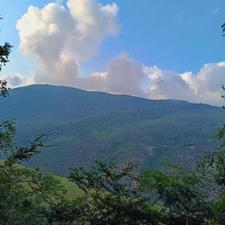 فروش زمین مسکونی 600 متر در دودانگه