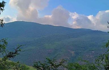 فروش زمین مسکونی 600 متر در دودانگه