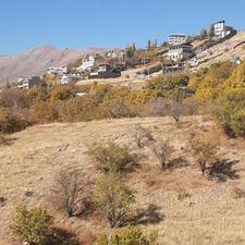 زمین 4000 متر در دماوند مشا