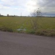 فروش زمین کشاورزی 3150 متر در میان محله