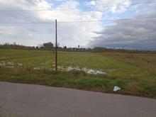 فروش زمین کشاورزی 1750 متر در میان محله در شیپور