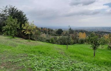 فروش زمین مسکونی 246 متر در بابلکنار