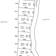 فروش زمین کاسبی در نشتارود