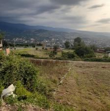 زمین مسکونی 250 متری با پروانه مهدیرجه ویودار