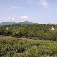 فروش زمین مسکونی 2000 متر در بازنشین رحیم اباد