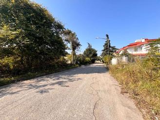 1000 متر زمین ویلایی لوکیشن برند 400 دستگاه